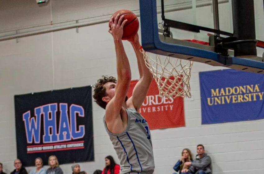 Matt MacLellan flushes a dunk during a game for Madonna University. PHOTO COURTESY OF MADONNA ATHLETICS