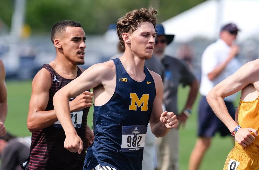 Northville track star Herger turning heads in 1st year at Michigan