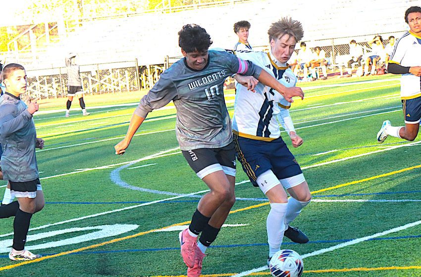 OH, HENRY! Maitland’s hat trick propels ‘Cats past Wayne