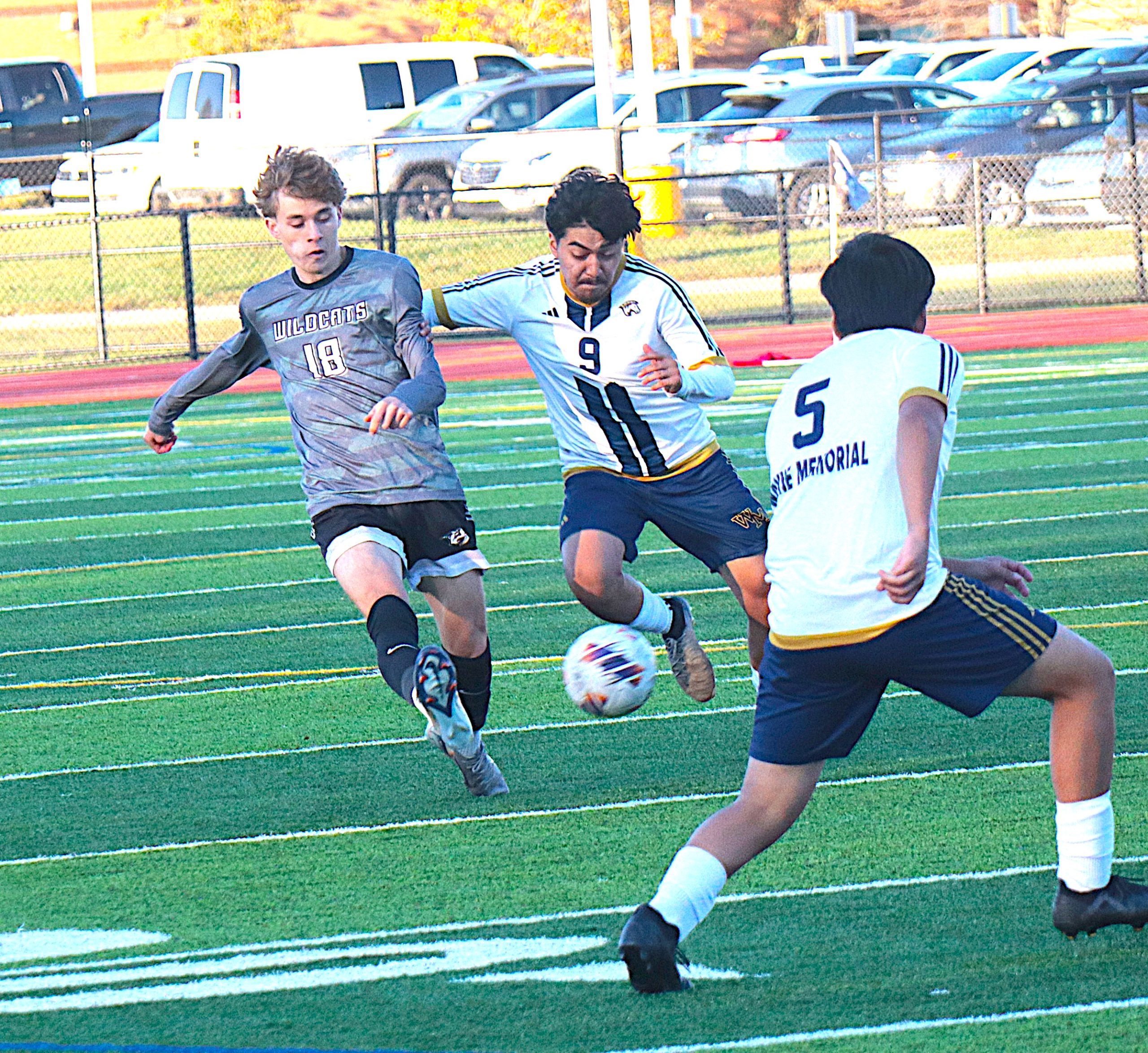 CatsZebes2 - Social House News