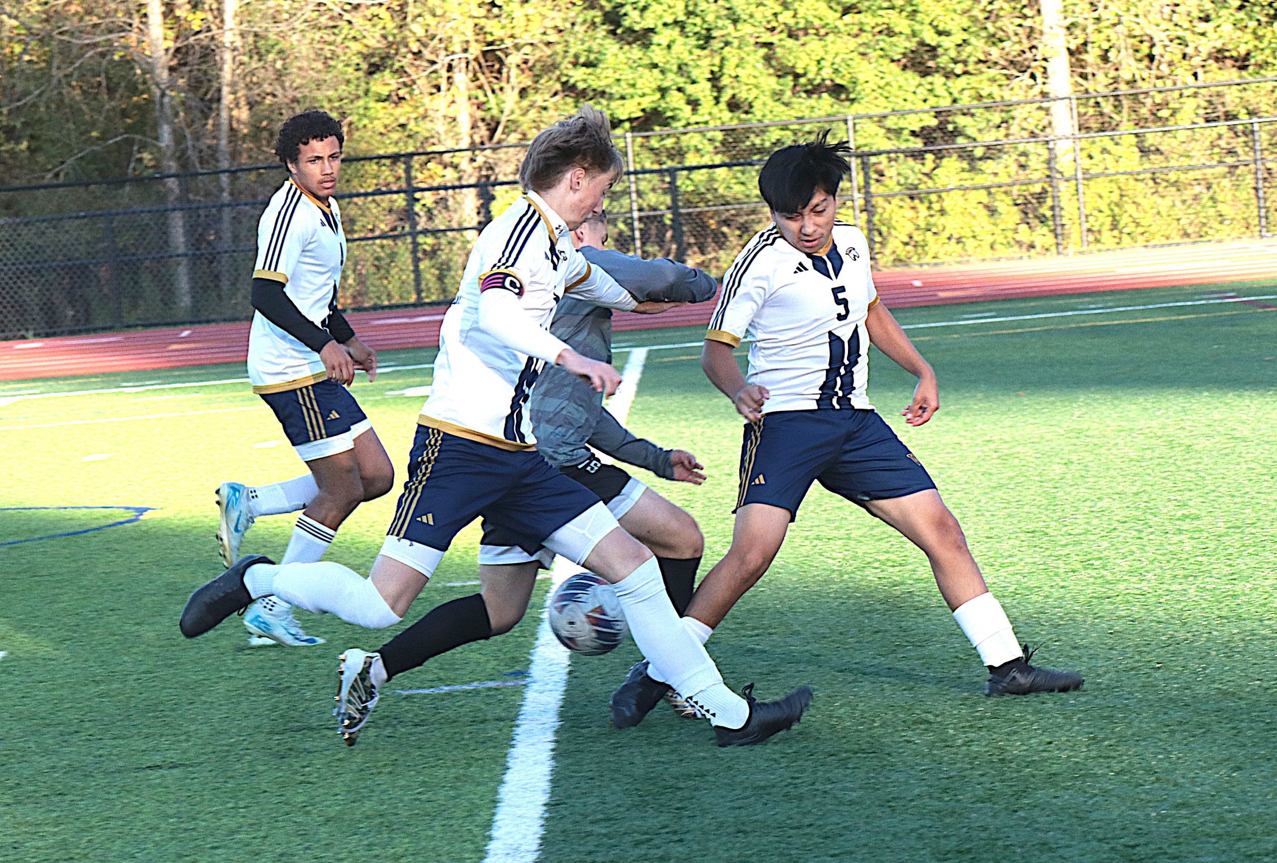 CatsZebes4 - Social House News