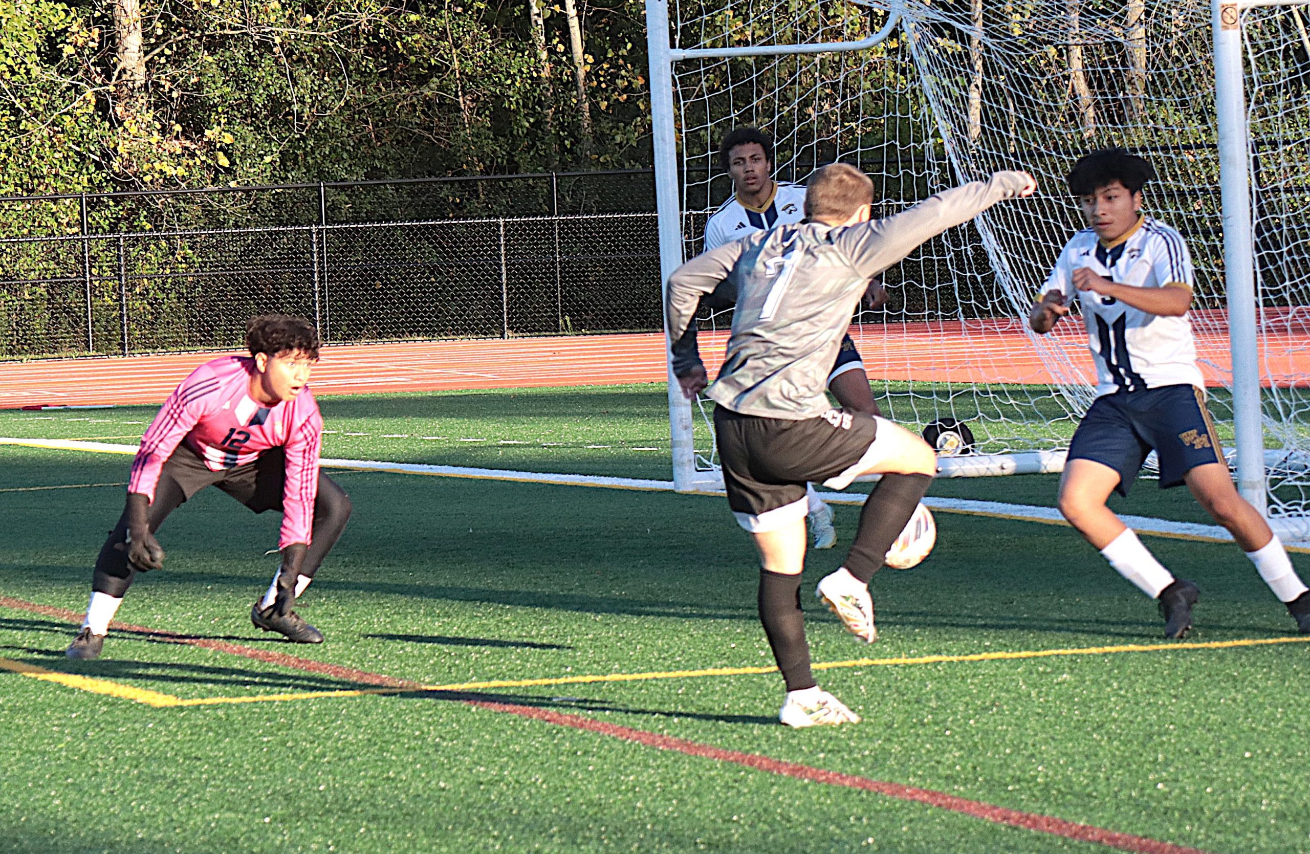 CatsZebes6 - Social House News