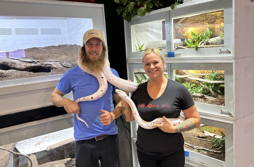 SNAKES ALIVE! Check out menagerie of cool reptiles in Westland