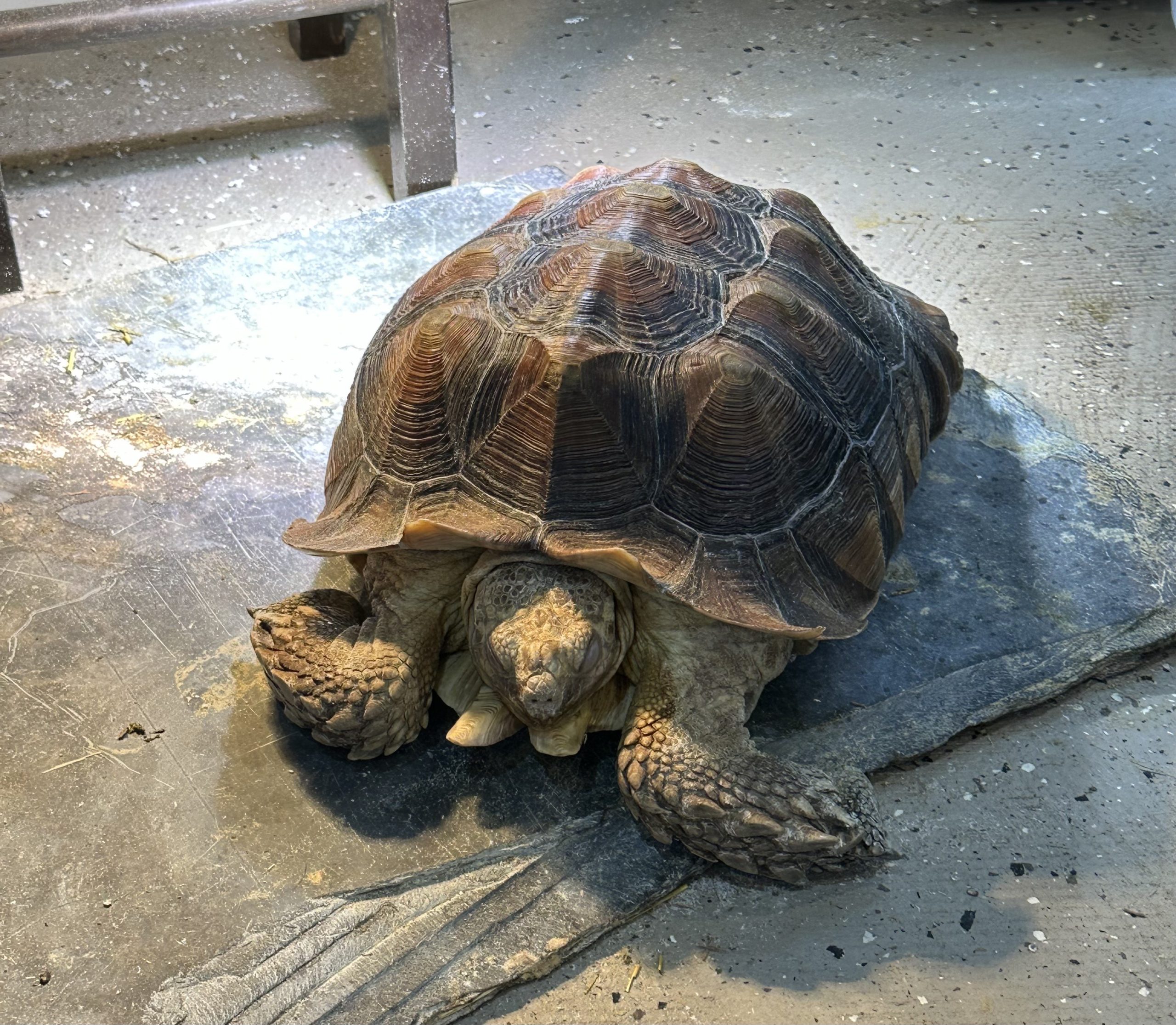 Greatlakes4 - Social House News