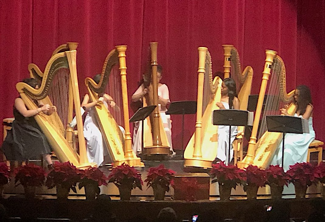 Harp1 - Social House News