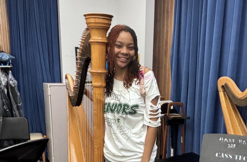 100-year-old DPS harp program continues to thrive