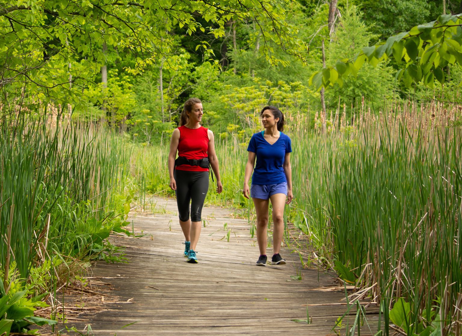 Three Rivers Metropark There's no time like now to get '26 Metroparks annual pass