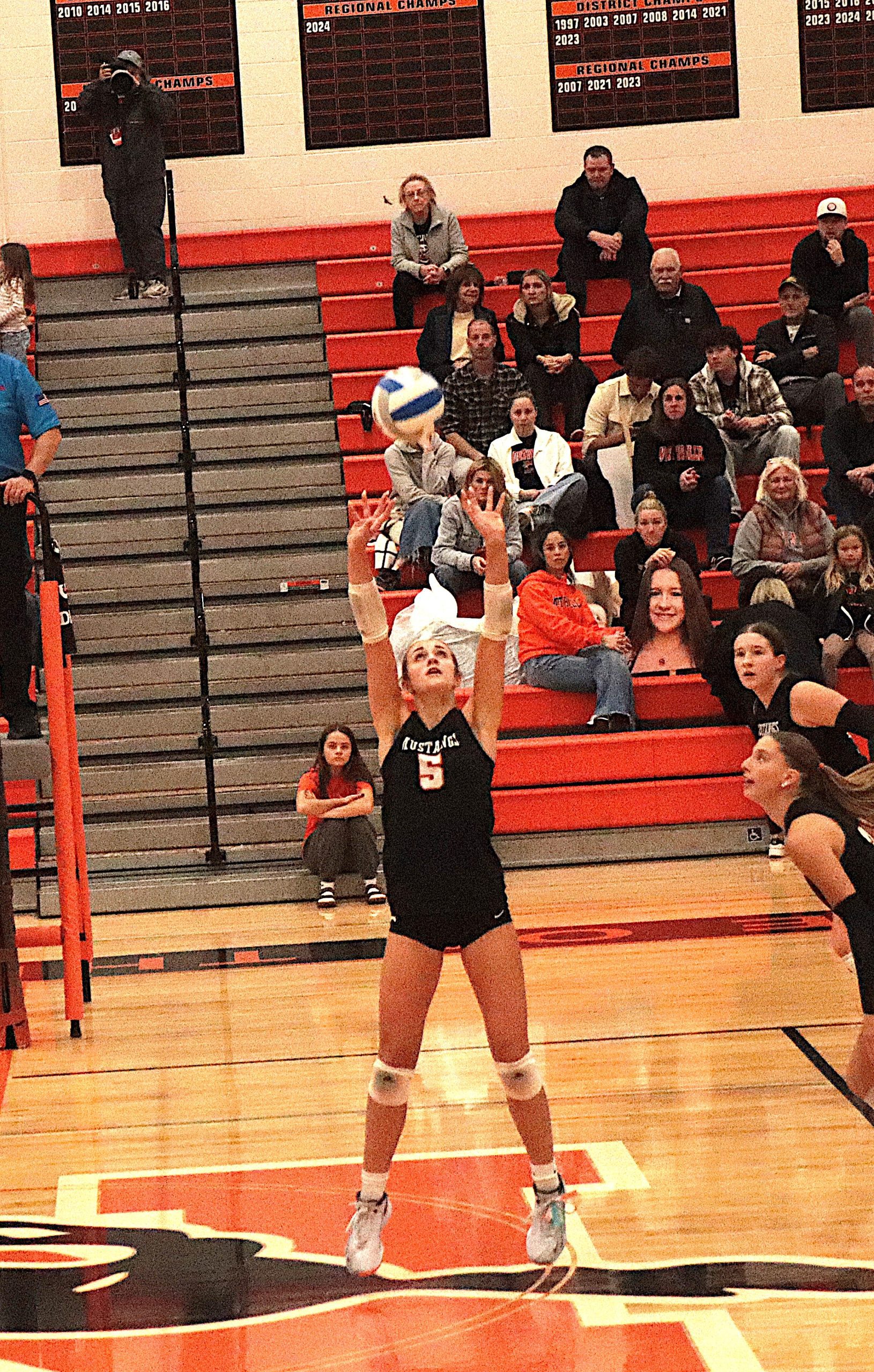 StangsSweep3 - Social House News