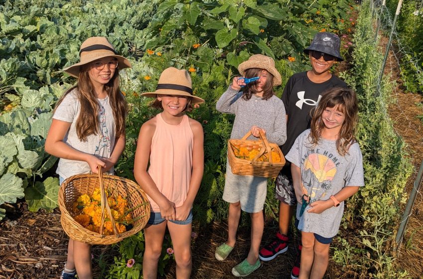 Pictured are youngsters who attended a recent Gateway Farm youth camp.