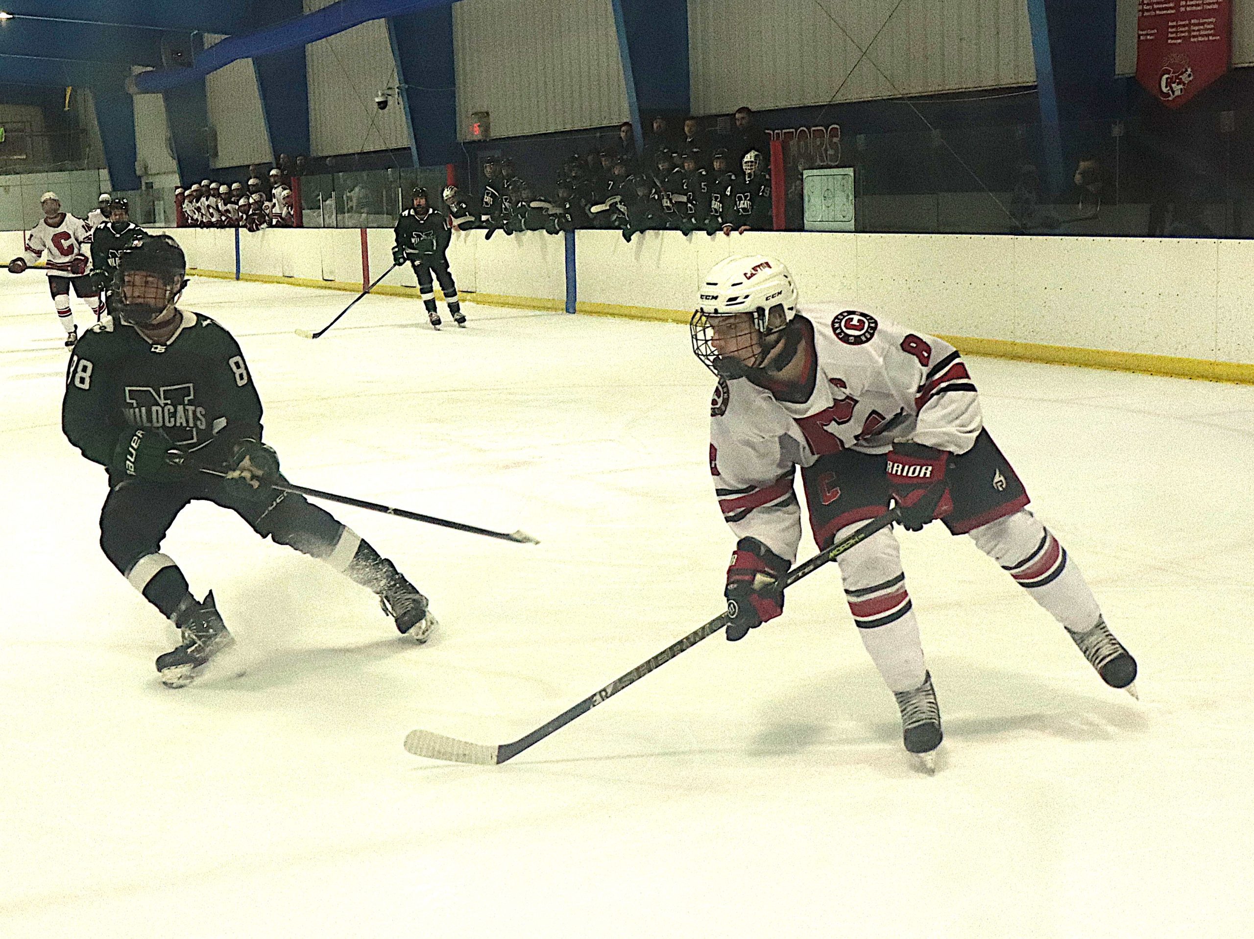 NoviPuck1 - Social House News