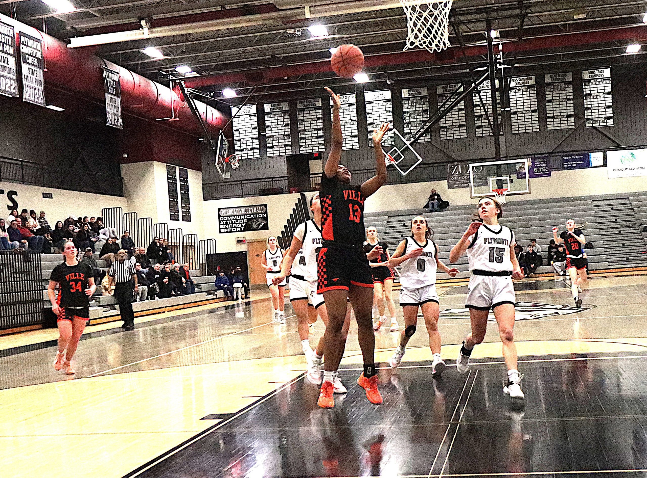 VilleWild2 - Social House News