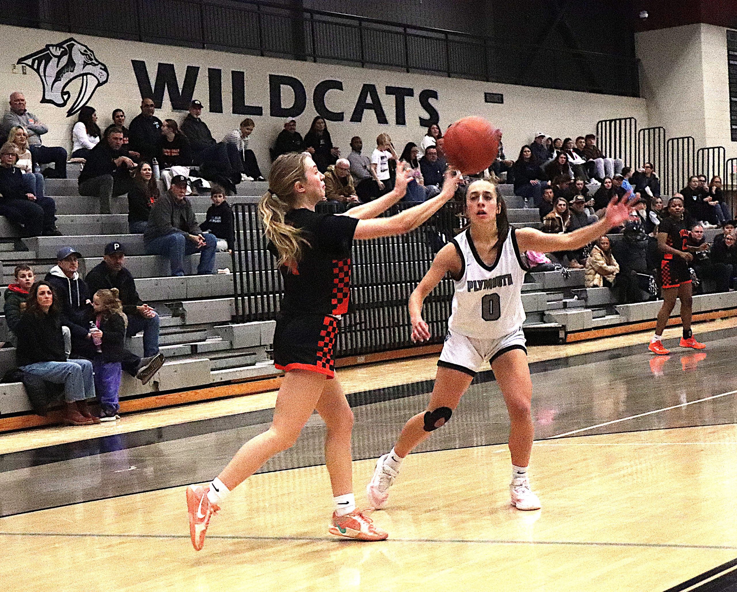 VilleWild5 - Social House News