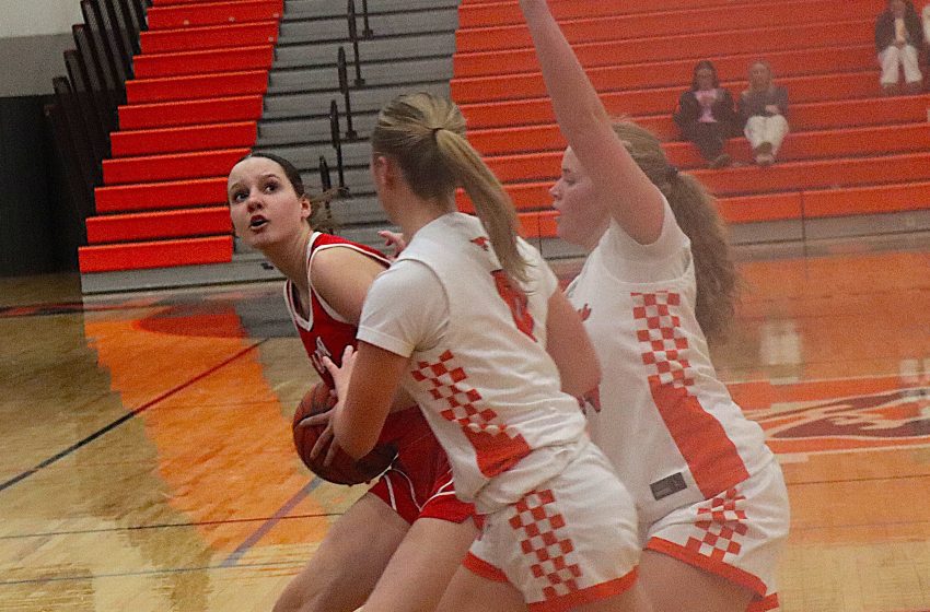  Northville’s tenacious defense pivotal in comfortable win over Canton