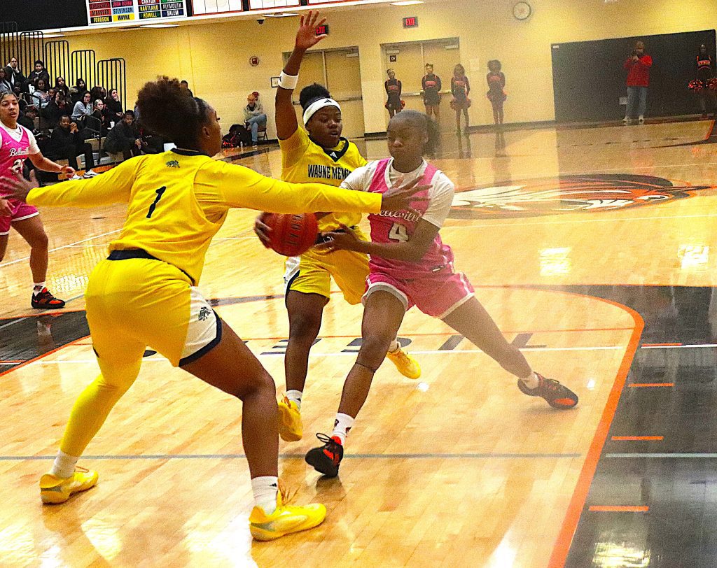 Paisley Stephens delivers an assist during the first half of Tuesday's two-point win over Wayne.