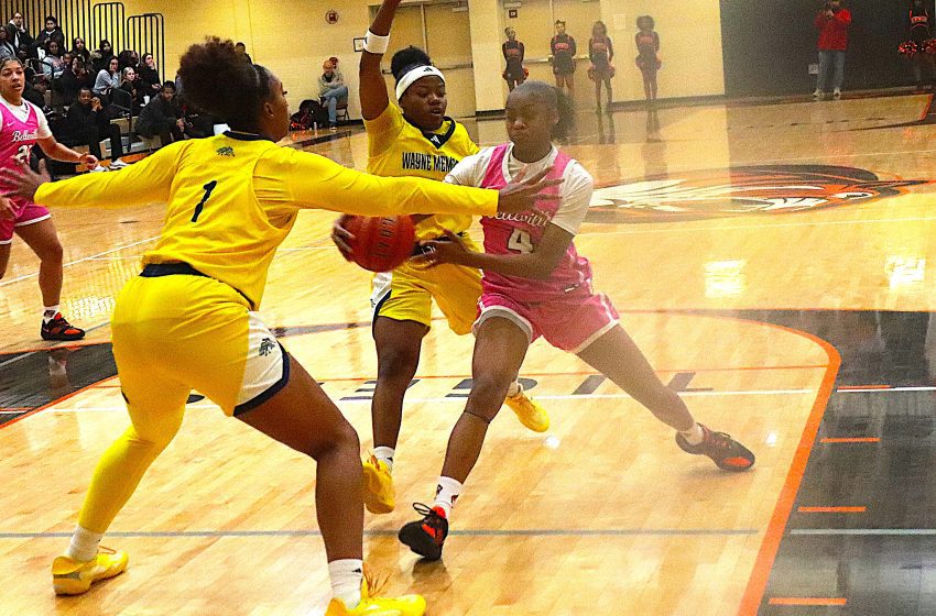 Paisley Stephens delivers an assist during the first half of Tuesday's two-point win over Wayne.