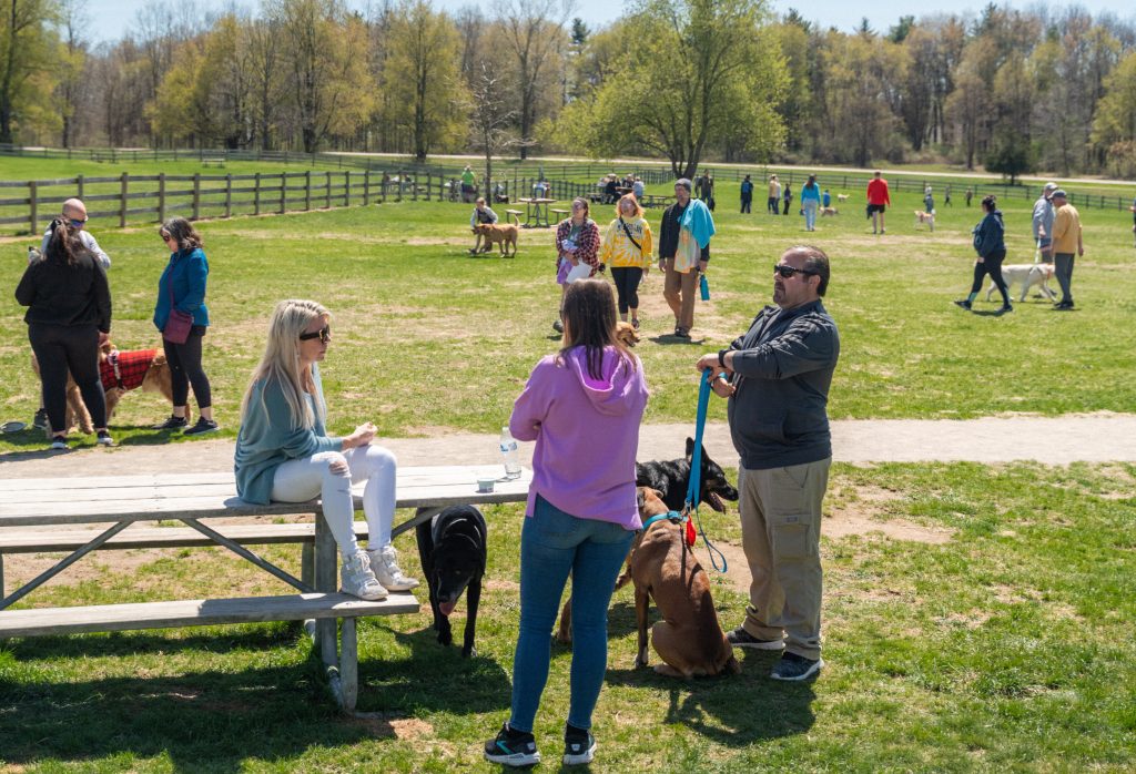 Group of people with dogs in a sunny park, near wooden fences and picnic tables in the background.
