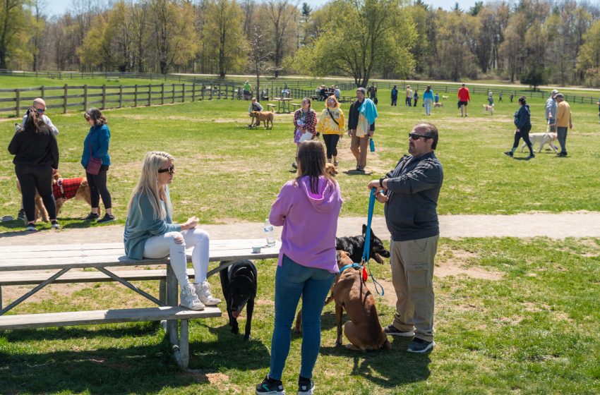  Belleville’s Lower Huron Metropark celebrates new off-leash dog area