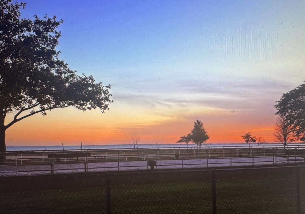 Sunset over a fenced field with silhouetted trees along the horizon and a blue-to-orange sky, creating a peaceful coastal evening scene.