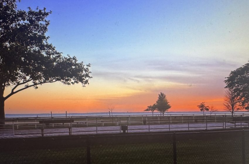 Sunset over a fenced field with silhouetted trees along the horizon and a blue-to-orange sky, creating a peaceful coastal evening scene.