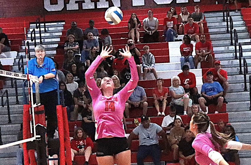 Female volleyball players in pink uniforms play in a gym; #14 jumps to set the ball as a teammate watches, with an official near the net and a crowd in red bleachers behind.